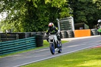 Advanced Group White Bikes